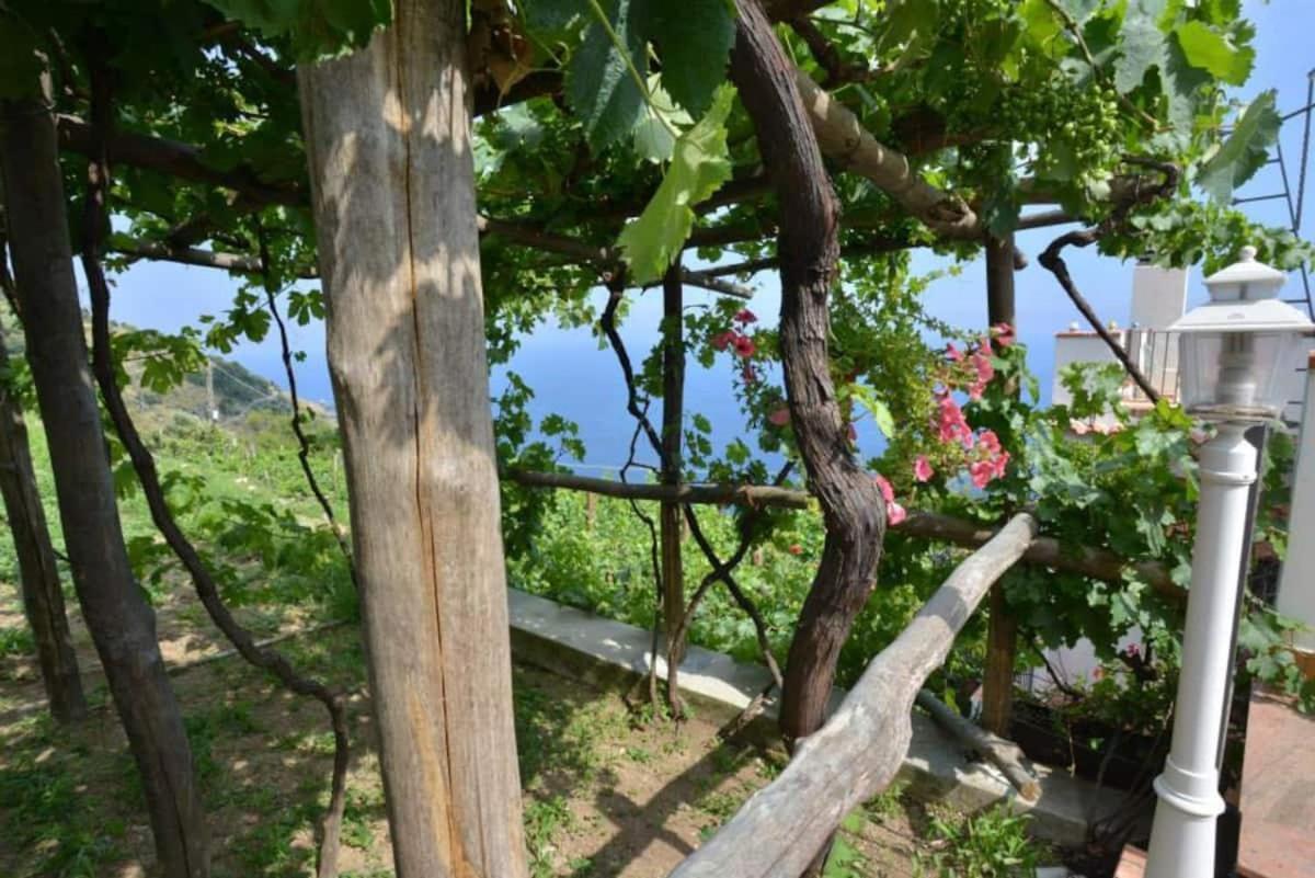 Tenuta La Picola Furore Exterior photo